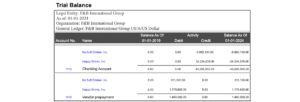 Trial Balance